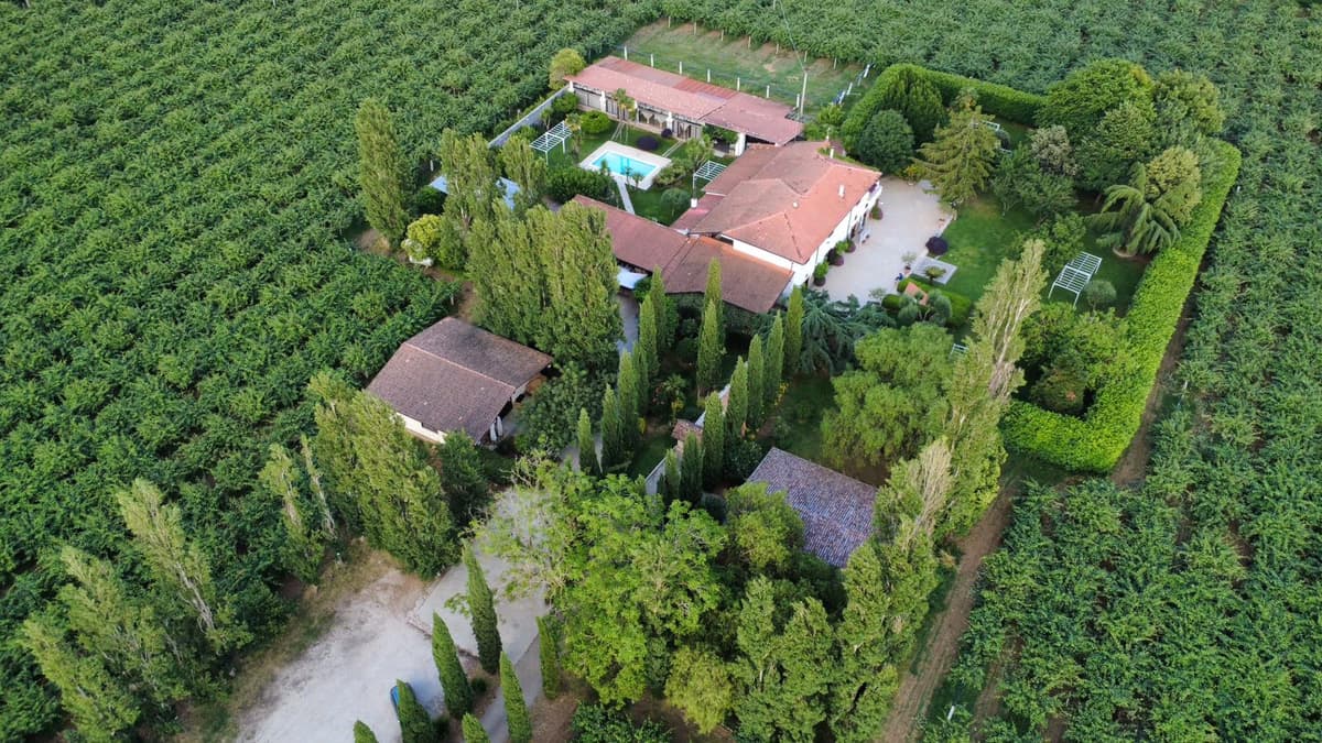Checklist Completa per Organizzare il Matrimonio Perfetto